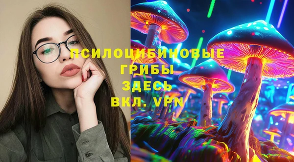 ешки Пестово