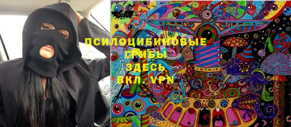 соль ск Абаза